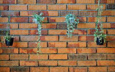 Concrete Tools: Essential Equipment for Your Building Projects